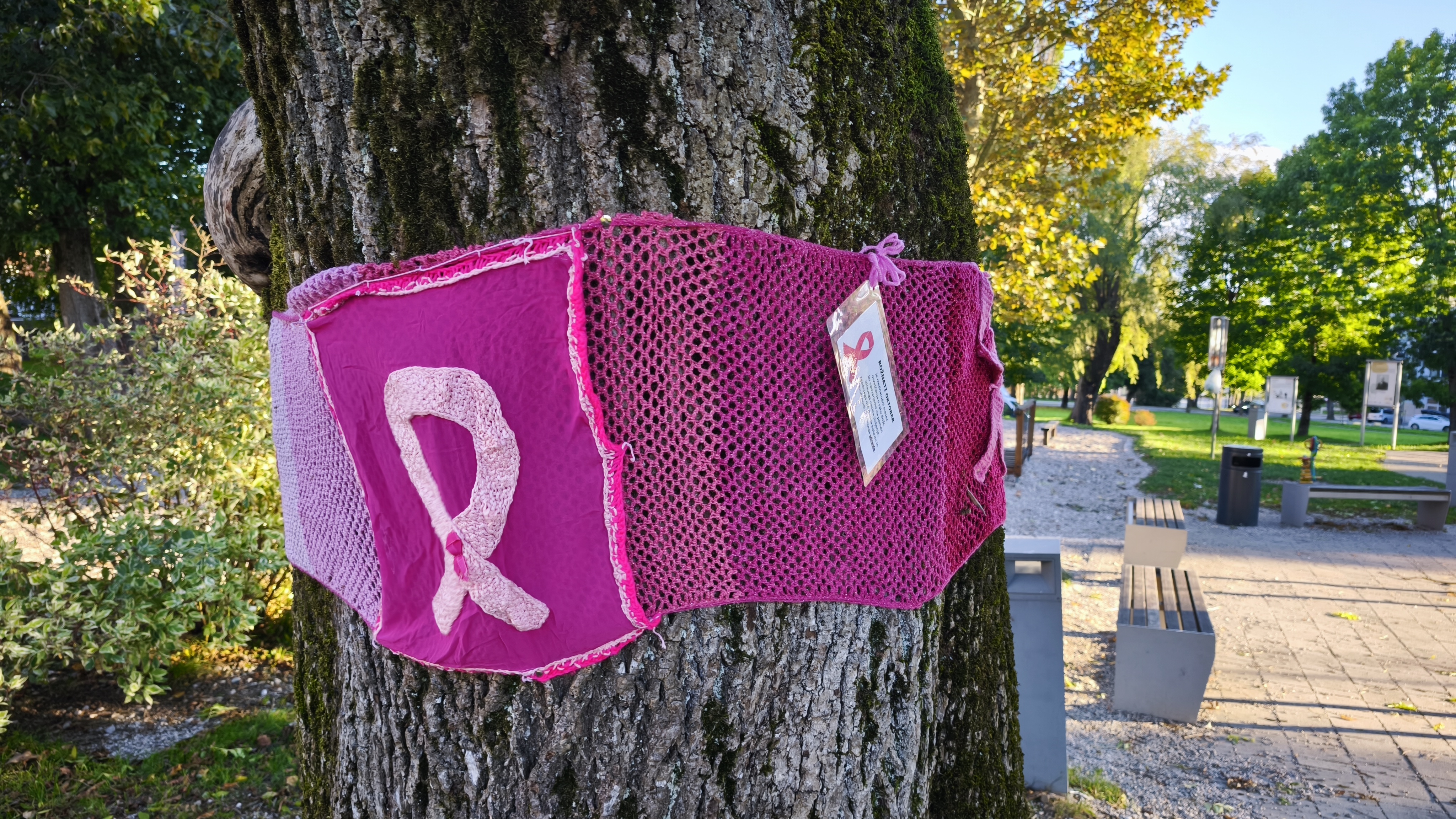 rožnati oktober